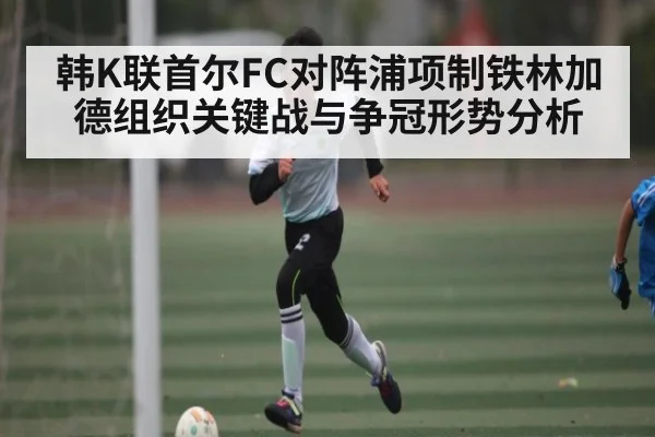 韩K联首尔FC对阵浦项制铁林加德组织关键战与争冠形势分析 - kaiyun