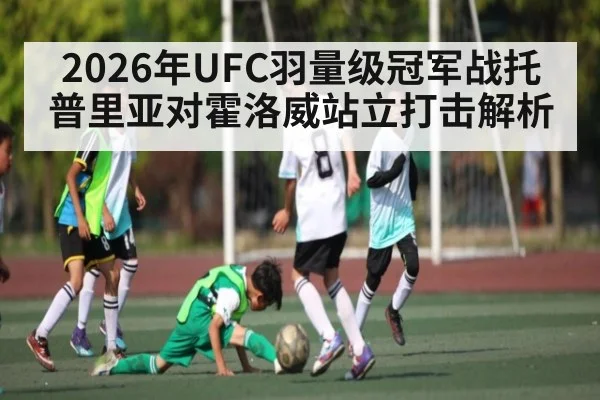 2026年UFC羽量级冠军战托普里亚对霍洛威站立打击解析 - kaiyun